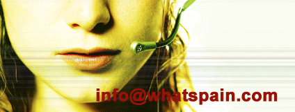 contact with WhatZaragoza